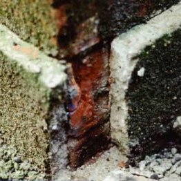 Damp in Buildings - Online Masterclass
